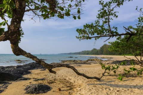 Beach landscape at Silent beach in Khao lak, beach, sandy beach, beach holiday, holiday, travel,