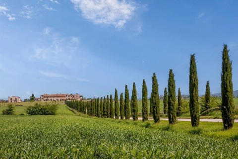 Country estate with cypress avenue, near Asciano, Crete Senesi, Tuscany, Italy, Europe