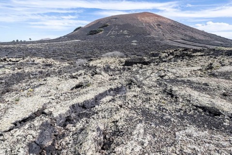 Lava landscape overgrown with lichens and succulents, in the background vineyards protected by dry