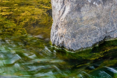 Sunlit water laps against a rock's edge, revealing submerged algae, in South Korea