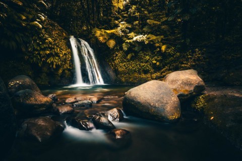 Pure nature, a waterfall with a pool in the forest. The Ecrevisses waterfalls, Cascade aux