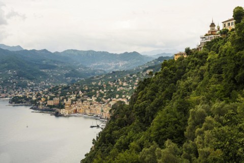 Village with colourful houses by the sea, Camogli, Province of Genoa, Riveria di Levante, Liguria,