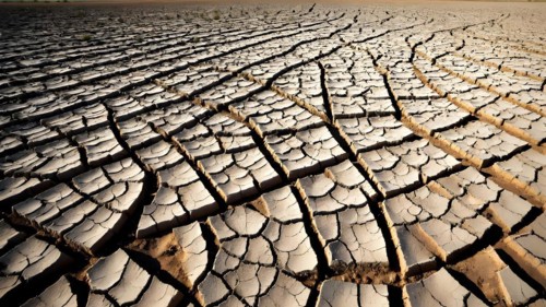 Barren field featuring cracked earth under a merciless scorching sun, AI generated