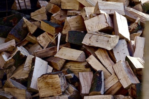 Stock of firewood, Germany, Europe