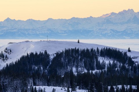 View from the Feldberg over the Herzogenhorn to the Swiss Alps, sunrise, Breisgau-Hochschwarzwald