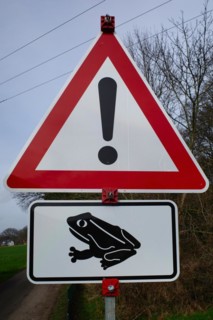 Signpost for toad migration, Lower Rhine, North Rhine-Westphalia, Germany, Europe
