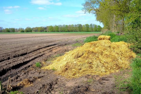 Rural scene with a heap of straw at the edge of a cultivated field on a sunny day