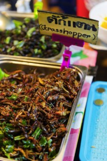Roasted grasshoppers at the evening market in Krabi, food, nutrition, future, future, food,