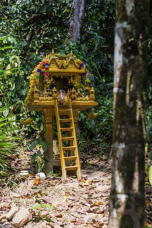 Buddhist temple in the rainforest, jungle, offering, religion, Buddhism, world religion, statue,