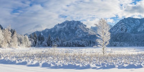 Schwansee in winter, behind it Neuschwanstein Castle and the Tegelberg, 1720m, near Hohenschwangau,