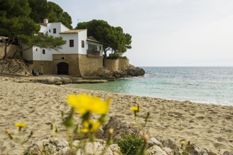 Cala Gat, Cala Ratjada, Majorca, Balearic Islands, Spain, Europe