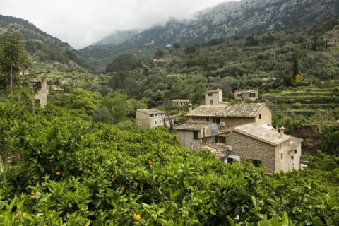 Village in the mountains with citrus plantations, Fornalutx, Soller, Serra de Tramuntana, Majorca,