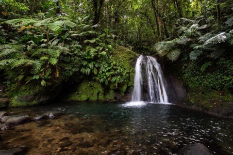 Pure nature, a waterfall with a pool in the forest. The Ecrevisses waterfalls, Cascade aux