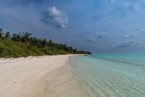 White sand beach, Parli 1 island, Lakshadweep archipelago, Union territory of India