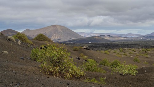 Caldera Colorada, Parque Natural de Los Volcanes, Masdache, Lanzarote, Canary Islands, Spain,