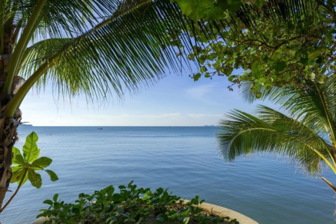 Sea view with palm tree at Maenam beach on Koh Samui, island, palm tree, water travel, holiday,