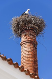 Stork with nest on a chimney, bird, bird's nest, nest, nest building, architecture, species