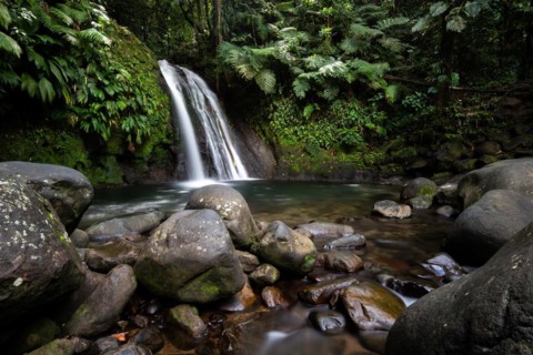 Pure nature, a waterfall with a pool in the forest. The Ecrevisses waterfalls, Cascade aux