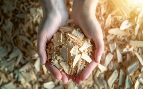 Holding woodchips in your hands, woodchips, renewable fuel, climate change, AI generated, AI