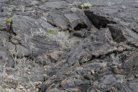 Lava structures, Costa Teguise, Lanzarote, Canary Islands, Spain, Europe