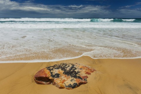 Textured stone on the beach, sea, Atlantic coast, coast, surf, surf, emotion, calmness, nobody,