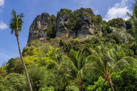 Limestone rocks at Railay Beach, limestone, limestone rocks, travel, holiday, tourism, nature,