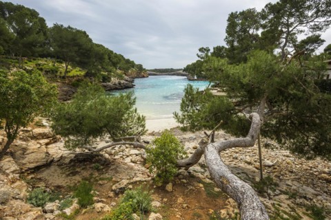 Cala Mitjana, Cala d'Or, Majorca, Balearic Islands, Spain, Europe