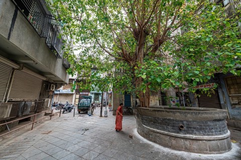 Old town of the Unesco site, Ahmedabad, Gujarat, India, Asia