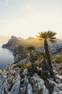 Sunrise, Cape Formentor, Port de Pollenca, Serra de Tramuntana, Majorca, Majorca, Balearic Islands,