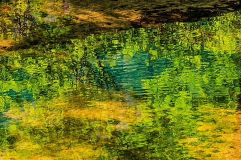 Reflection of a tree and its leaves in a shallow stream on a bright sunny day in South Korea