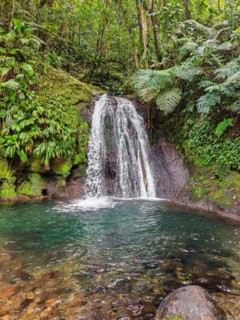 Pure nature, a waterfall with a pool in the forest. The Ecrevisses waterfalls, Cascade aux