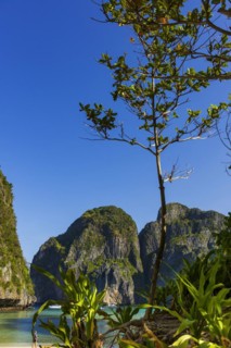 Maya Bay on Ko Phi Phi Don, beach, holiday, beach holiday, holiday paradise, paradise, tourism,