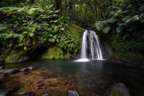 Pure nature, a waterfall with a pool in the forest. The Ecrevisses waterfalls, Cascade aux