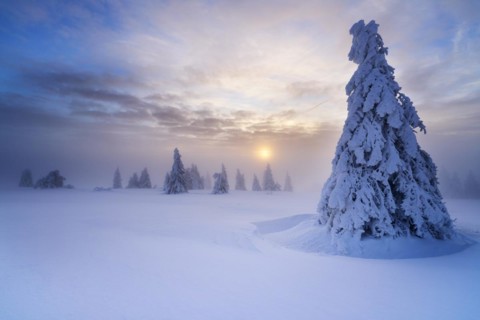 Winter on the Feldberg at sunrise, Breisgau-Hochschwarzwald district, Baden-Wuerttemberg, Germany,