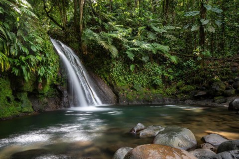 Pure nature, a waterfall with a pool in the forest. The Ecrevisses waterfalls, Cascade aux