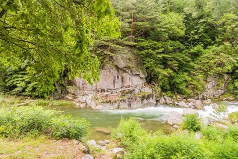 Calm river flowing through a rocky bed under a canopy of green leaves, in South Korea
