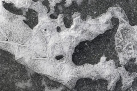 Winter riverscape, ice structures, detail, Saint Lawrence River, Province of Quebec, Canada, North