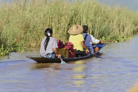 Three people paddling together in a narrow canoe, Inle Lake, Myanmar, Asia