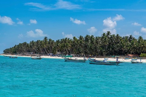 Little boats before a palm fringed white sand beach, Agatti Island, Lakshadweep archipelago, Union