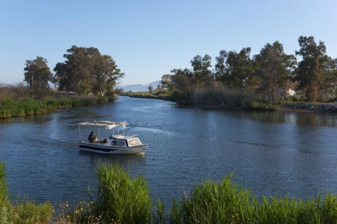 A small boat sails on a sunny river surrounded by trees and green vegetation, mouth of the Pamisos