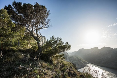 Sunset, Cape Formentor, Port de Pollenca, Serra de Tramuntana, Majorca, Majorca, Balearic Islands,