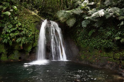 Pure nature, a waterfall with a pool in the forest. The Ecrevisses waterfalls, Cascade aux