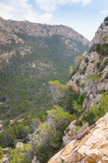 Mountain landscape with steeply rising rock faces and dense woodland, Mediterranean vegetation with