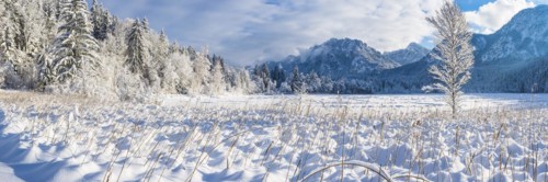 Schwansee in winter, behind it Neuschwanstein Castle and the Tegelberg, 1720m, near Hohenschwangau,