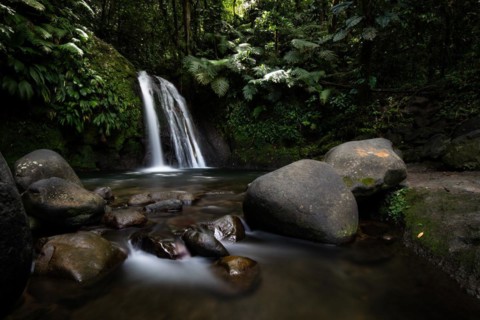Pure nature, a waterfall with a pool in the forest. The Ecrevisses waterfalls, Cascade aux