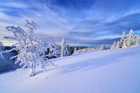 Winter on the Feldberg, Breisgau-Hochschwarzwald district, Baden-Wuerttemberg, Germany, Europe