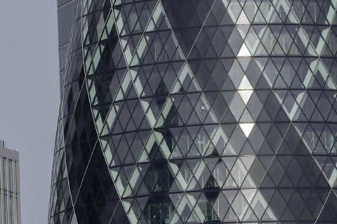 The Gherkin skyscraper building close up of window details with a Herring gull (Larus argentatus)