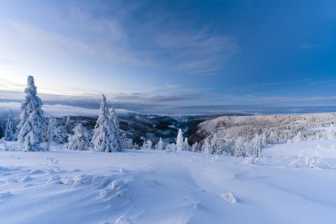 Winter on the Feldberg in front of sunrise, Breisgau-Hochschwarzwald district, Baden-Wuerttemberg,