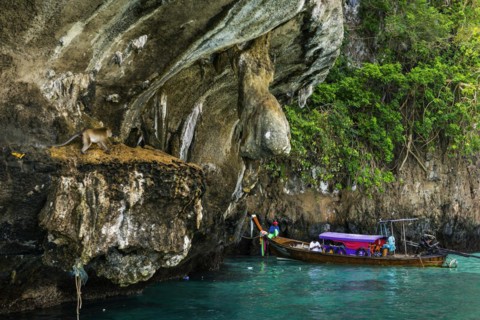 Monkey beach at Maya Bay, monkey, monkey beach, animal, boat, wooden boat, bay, bay of the sea,
