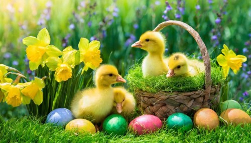 Ai generated, An Easter basket with coloured eggs in a meadow with colourful flowers, four goslings